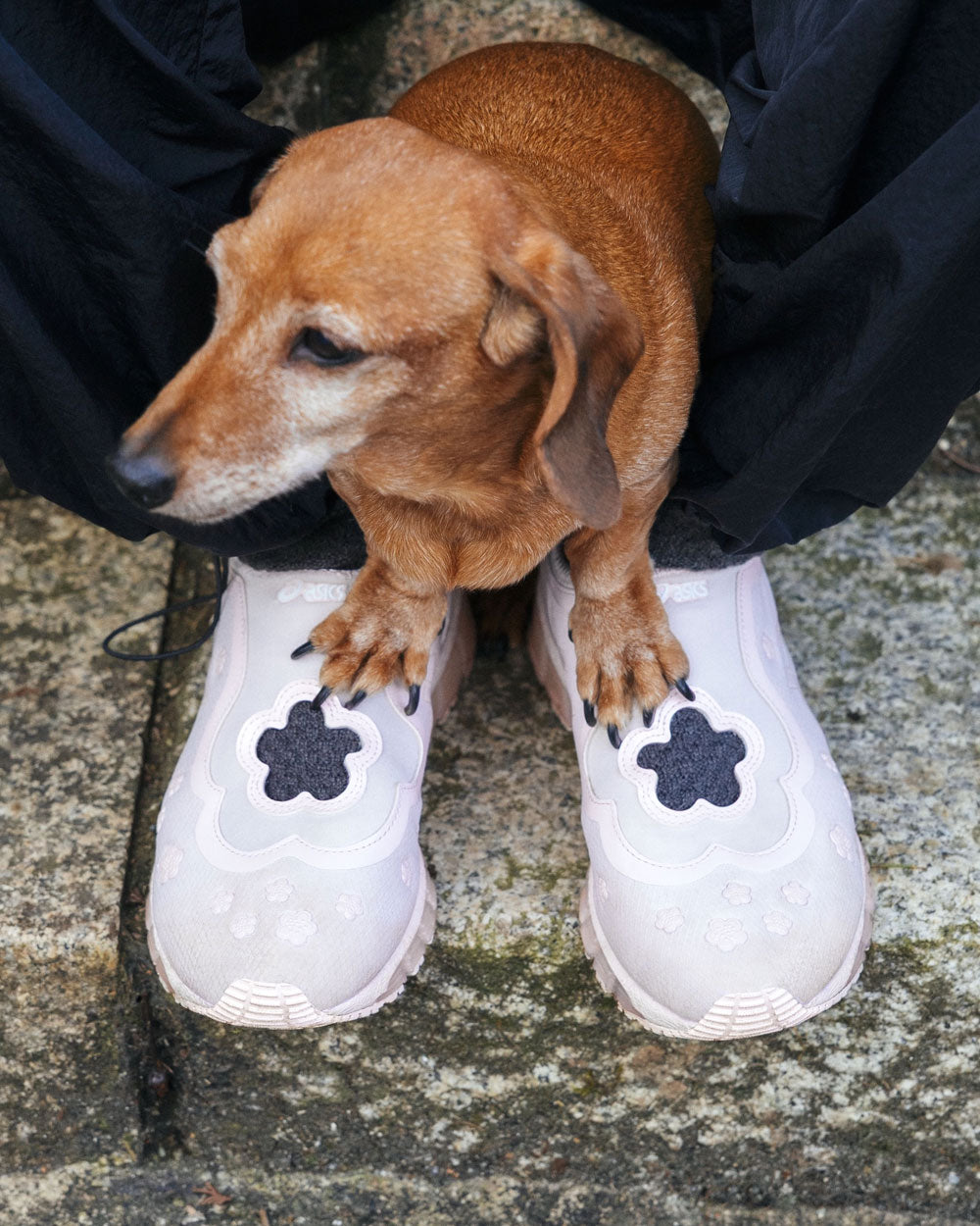 Cecilie Bahnsen x ASICS GEL-QUANTUM 360 I Sakuragai 1203A813.701